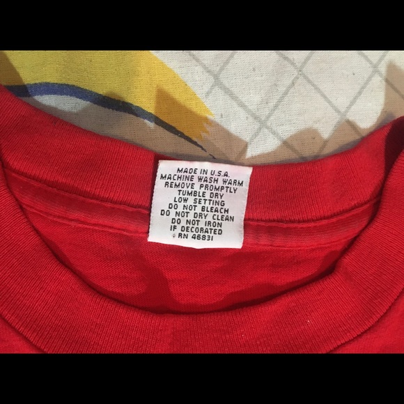 Vintage Coyote Palm Springs Tee - Picture 4 of 6